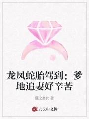 龙凤蛇胎驾到:爹地追妻好辛苦