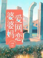 婆婆妈爱网恋