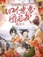 叶南书京墨