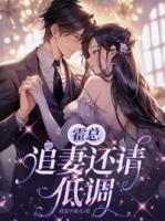 霍总,追妻还请低调