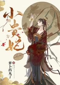 小贵妃(h 古言 1v2