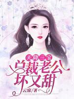 天降三宝:总裁老公坏又甜