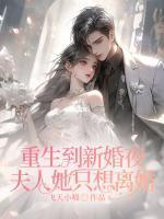 重生到新婚夜,夫人她只想离婚