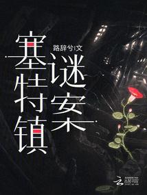 塞特镇谜案