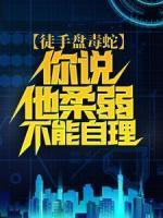 叶肃林利秦