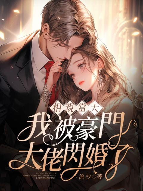 相亲当天,我被豪门大佬闪婚了