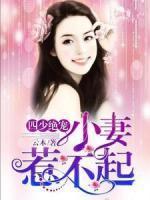 蓝璃茉顾言琛