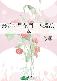 泰版流星花园:恋爱绘本