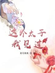 这个太子我见过