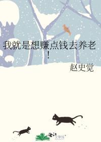 我就是想赚点钱去养老!