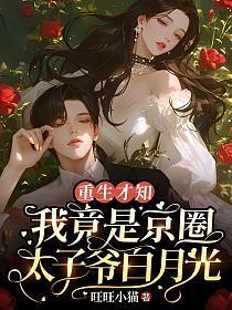 重生才知,我竟是京圈太子爷白月光
