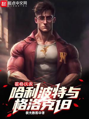 霍格沃茨:哈利波特与格洛克18