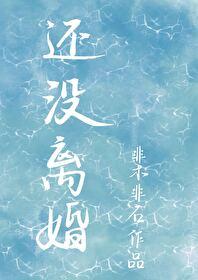 还没离婚