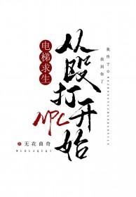 电梯求生，从殴打NPC开始[无限]