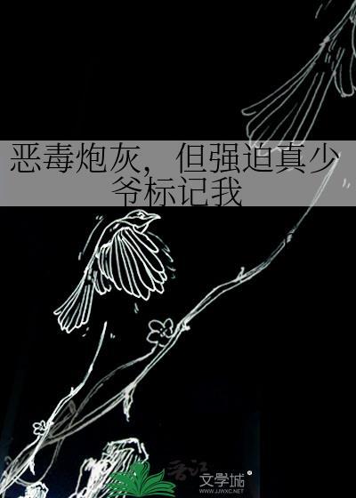 恶毒炮灰,但强迫真少爷标记我