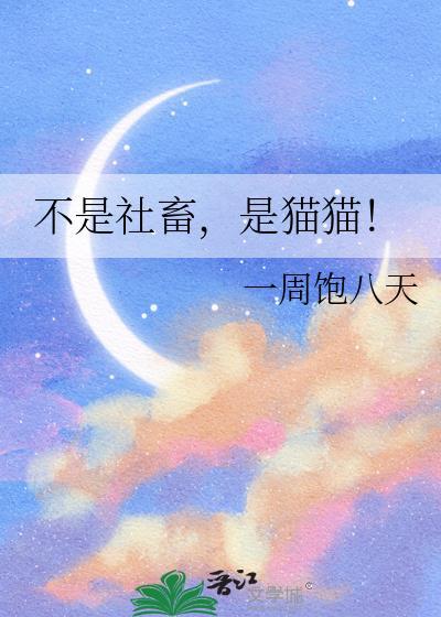 不是社畜，是猫猫！