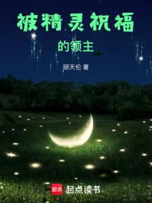被精灵祝福的领主