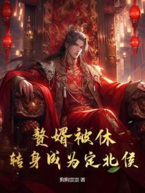 赘婿被休?转身成为定北侯!