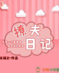 撩夫日记