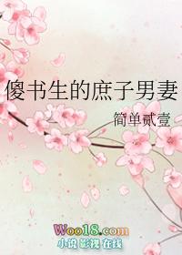 傻书生的庶子男妻穿越