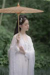 成为人生赢家从穿成综艺搞笑女开始精校版全本