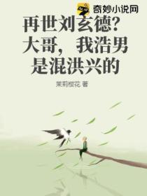 再世刘玄德？大哥，我浩男是混洪兴的