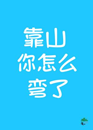 直男,但掰弯了同性靠山