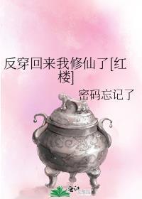 反穿回来我修仙了[红楼]
