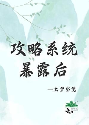 攻略系统暴露后