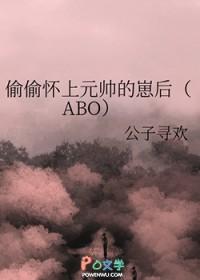 偷偷怀上元帅的崽后[ABO]