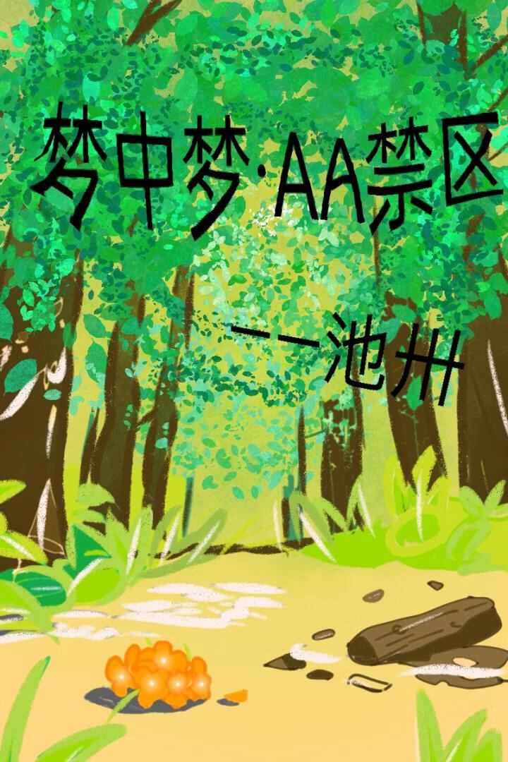 梦中梦·AA禁区