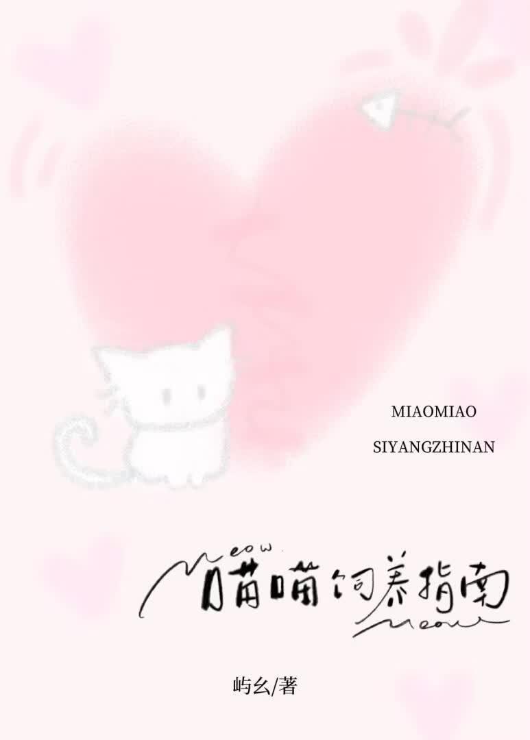 喵喵饲养指南