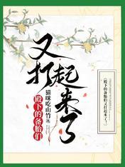 殿下的备胎们又打起来了!