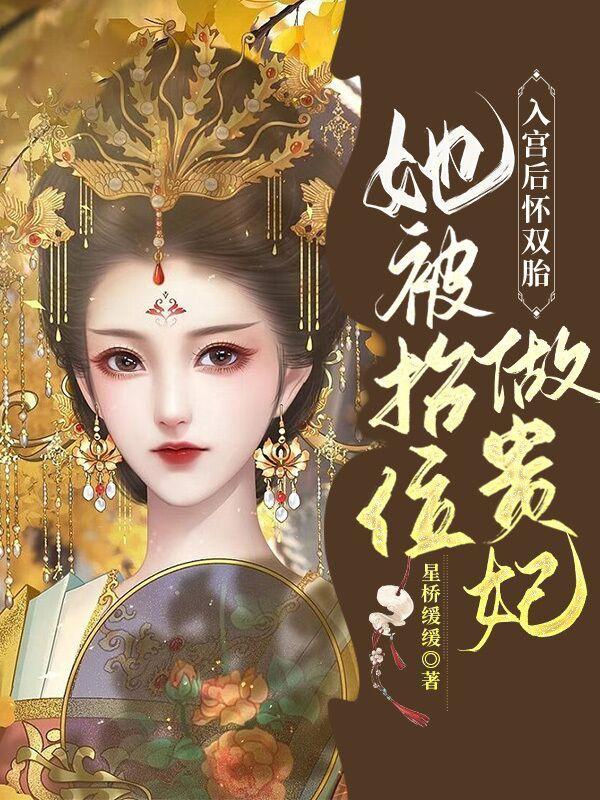 入宫后怀双胎,她被抬位做贵妃