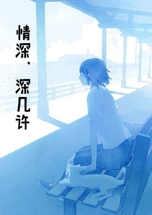 情深,深几许