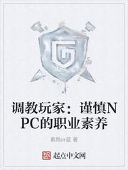 调教玩家:谨慎NPC的职业素养