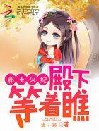 邪王火妃:殿下等着瞧