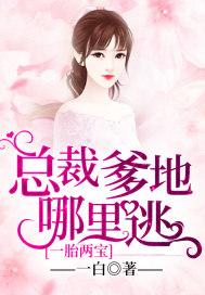 一胎两宝:总裁爹地哪里逃