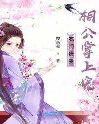 农门贵妻相公掌上宠