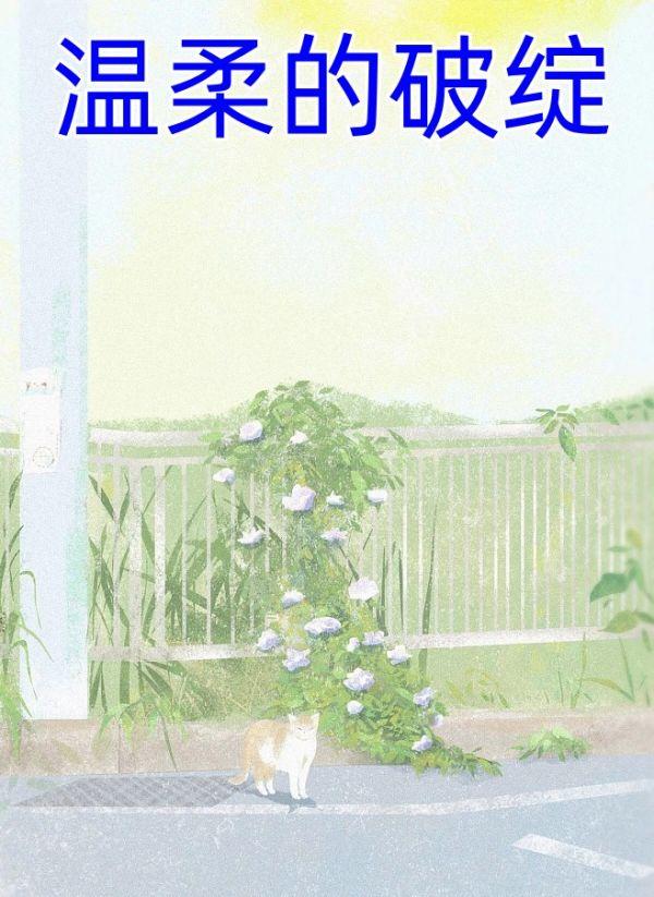 温柔的破绽