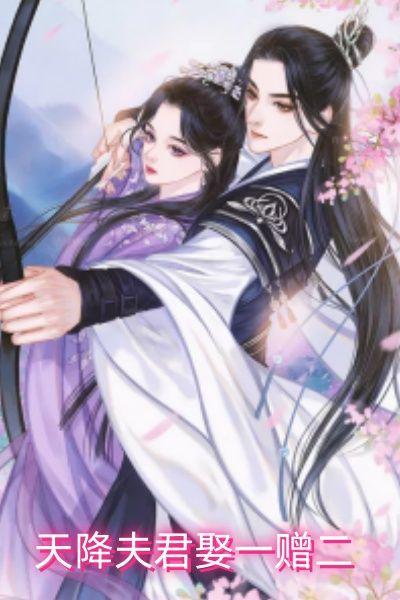 天降夫君娶一赠二