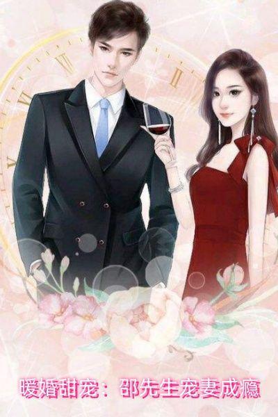 暖婚甜宠:邵先生宠妻成瘾