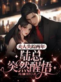 夫人失踪两年,陆总突然醒悟