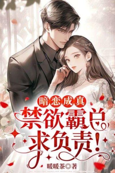 暗恋成真,禁欲霸总求负责!