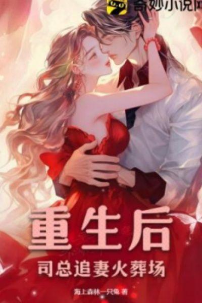 重生后,司总追妻火葬场