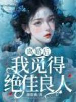 阳梓城沈惜音