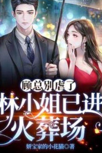 顾总别虐了,林小姐已进火葬场