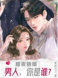 暗夜销婚：男人，你是谁？