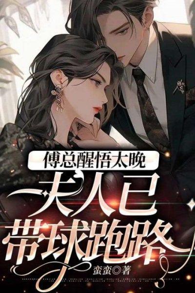 傅总醒悟太晚,夫人已带球跑路