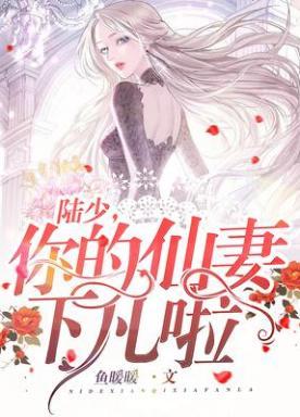 陆少你的仙妻下凡啦